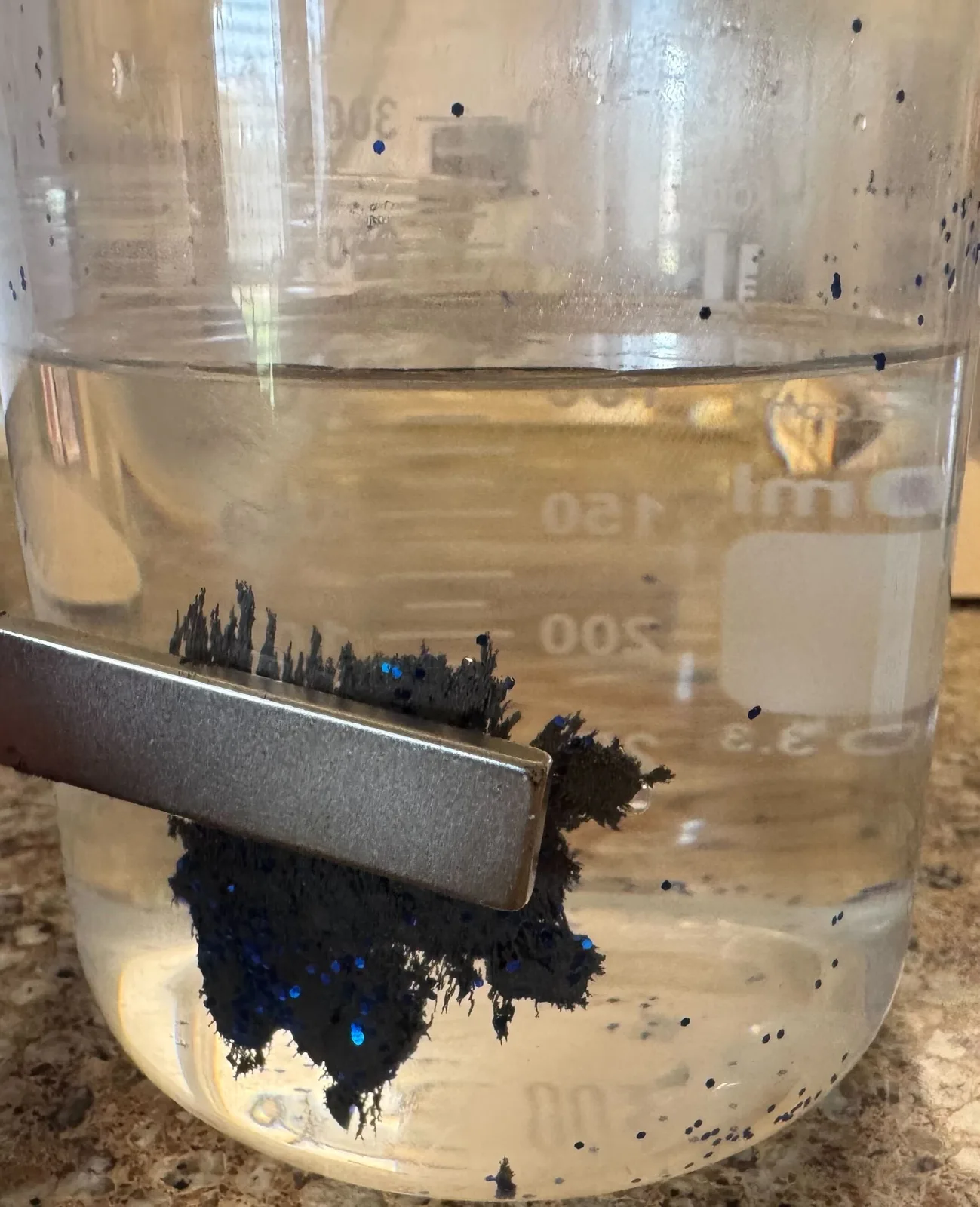 Ximena Rodriguez's project, Reducing Microplastics in Water