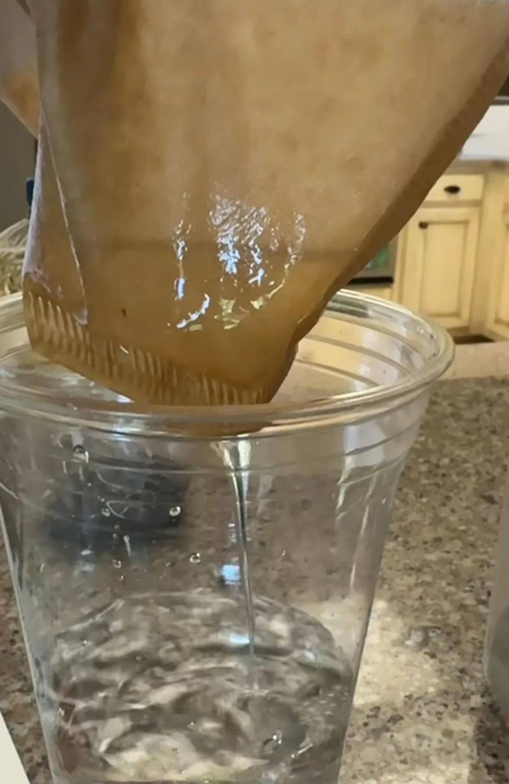 Reducing Microplastics in Water by Ximena Rodriguez - project photo 5